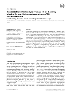 High spatial resolution analysis of fungal cell biochemistry ^ bridging