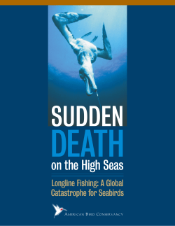 on the High Seas - American Bird Conservancy