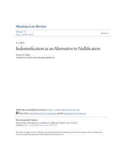 Indemnification as an Alternative to Nullification