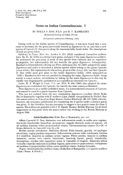 Notes on Indian Commelinaceae. V