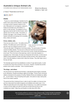 Nasjonal digital l&aelig;ringsarena | Australia`s Unique Animal Life