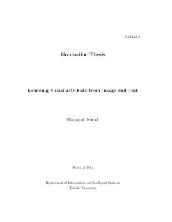 Graduation thesis
