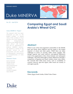 Comparing Egypt and Saudi Arabia`s Wheat GVC