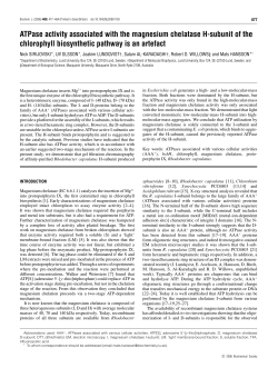 ATPase activity associated with the magnesium chelatase H