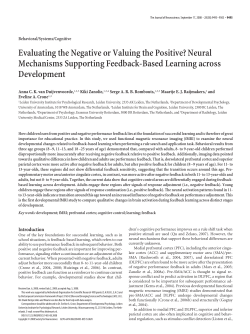 Evaluating the Negative or Valuing the Positive