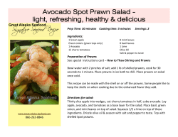 Avocado Spot Prawn Salad