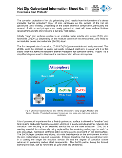 How Does Zinc Protect