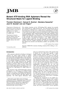 Mutant ATP-binding RNA Aptamers Reveal the Structural Basis for