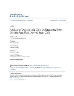 Analysis of Oocyte-Like Cells Differentiated from Porcine Fetal Skin