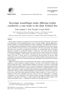 Scavenger assemblages under di!ering trophic conditions