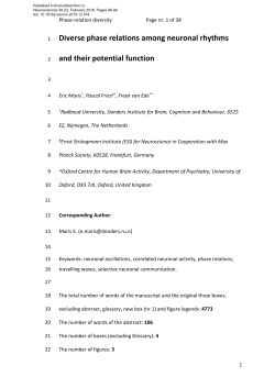 Diverse phase relations among neuronal rhythms and their potential