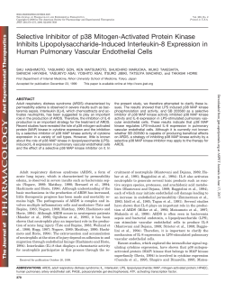 Selective Inhibitor of p38 Mitogen-Activated Protein Kinase Inhibits