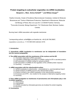 Protein targeting to subcellular organelles via mRNA localization.