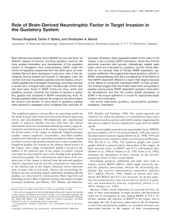 Role of Brain-Derived Neurotrophic Factor in Target Invasion in the
