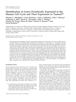 Identification of Genes Periodically Expressed in the Human Cell