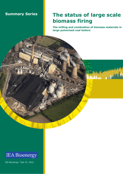 The status of large scale biomass firing