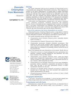 Mammalian Chlamydiosis