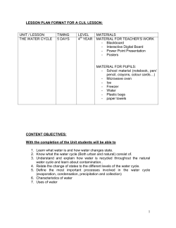 LESSON PLAN FORMAT FOR A CLIL LESSON: