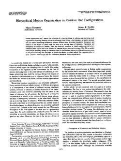 Hierarchical Motion Organization in Random Dot