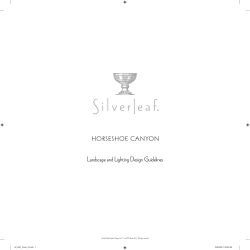 Landscape and Lighting Design Guidelines