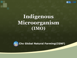 Indigenous Microorganism (IMO)