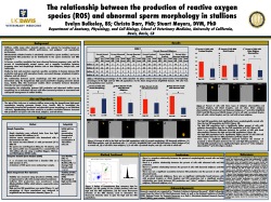 The relationship between production of reactive oxygen species (ROS)