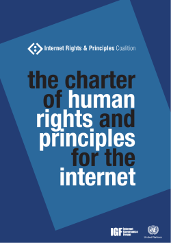the charter of human rights and principles for the internet