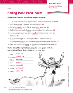 Finding More Plural Nouns