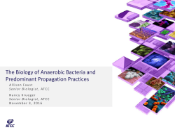 The Biology of Anaerobic Bacteria and Predominant Propagation