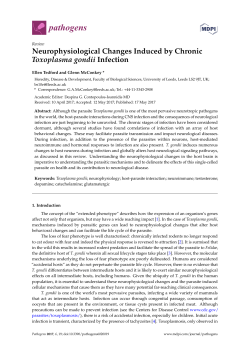 Full-Text PDF