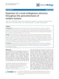 Expansion of a novel endogenous retrovirus throughout