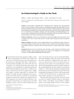 An Endocrinologist`s Guide to the Clock