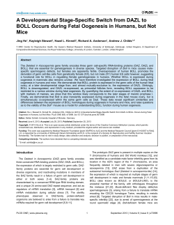 A Developmental Stage-Specific Switch from DAZL to BOLL Occurs