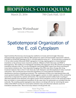 Spatiotemporal Organization of the E. coli Cytoplasm