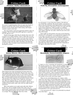 Cards