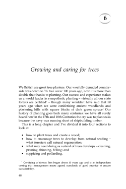 Chapter 6 &ndash; Growing and caring for trees