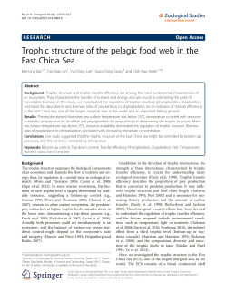 Trophic structure of the pelagic food web in the East China Sea