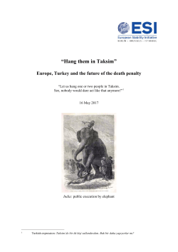 PDF - Stiftung Mercator