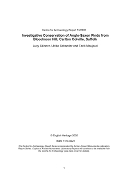 Investigative Conservation of Anglo