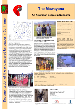 An Arawakan people in Suriname