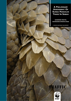 A preliminary assessment of Sunda Pangolin trade in Sabah (PDF