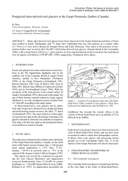Postglacial talus-derived rock glaciers in the Gasp&eacute; Peninsula