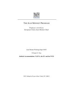 the jean monnet program