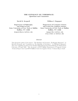 THE ONTOLOGY OF CYBERSPACE: Questions and
