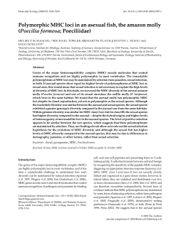 Polymorphic MHC loci in an asexual fish, the amazon molly