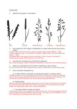 GRASSLAND 1. Identify the grasses in the diagram a. b. c. d.  e.