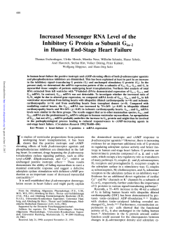 Increased Messenger RNA Level of the Inhibitory G Protein a