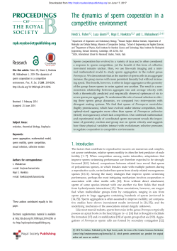 The dynamics of sperm cooperation in a competitive environment