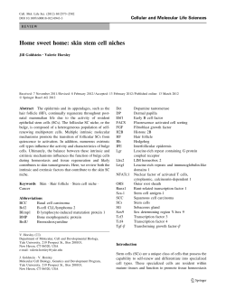 Home sweet home: skin stem cell niches - Valerie Horsley