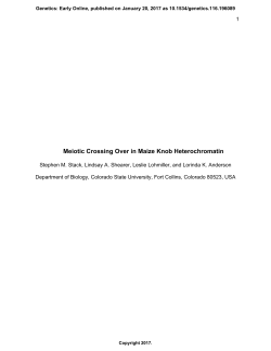 Meiotic Crossing Over in Maize Knob Heterochromatin